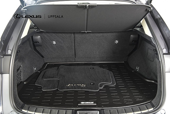 Lexus NX450h+ 9 of 20