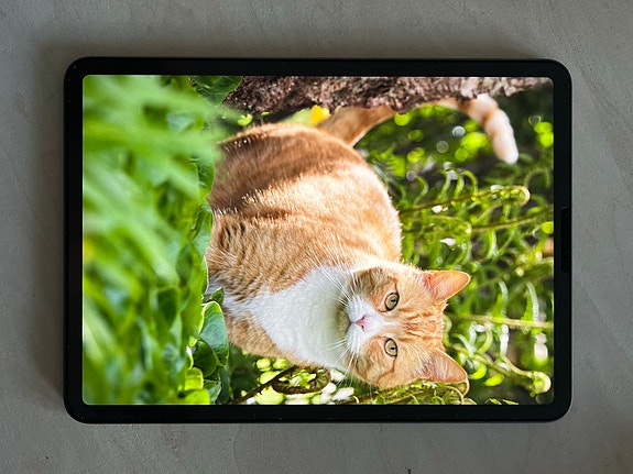 Product image 1 of 7
