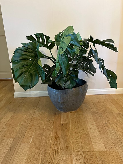 Product image 1 of 10