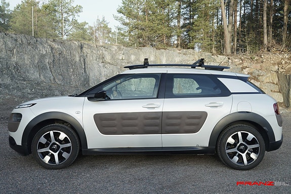Citroen C4 Cactus 4 of 13