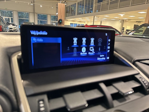 Lexus NX300h 19 of 19