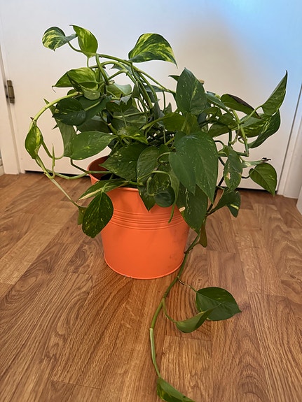 Product image 1 of 8