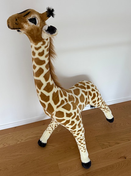 Product image 1 of 5