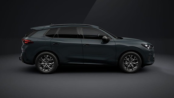 Cupra Unknown