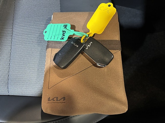 Kia Niro 19 of 20