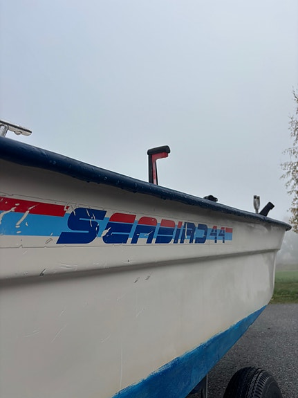 Seabird 44 med Johnson 30 hk och Fogelsta-trailer komplett paket 4 of 10