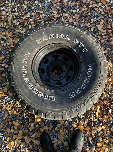 Nissan King Cab 10 of 11