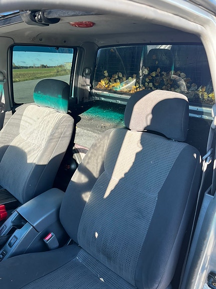Nissan King Cab 7 of 11