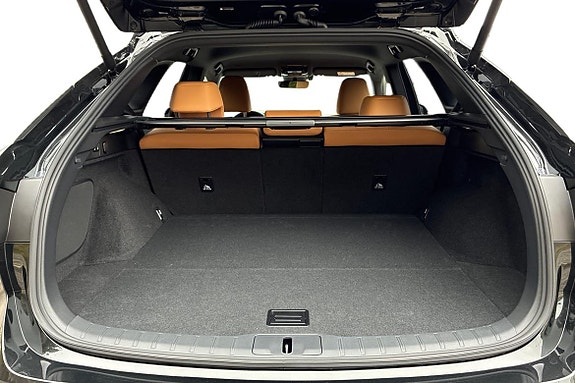 Lexus RX450h 26 of 27