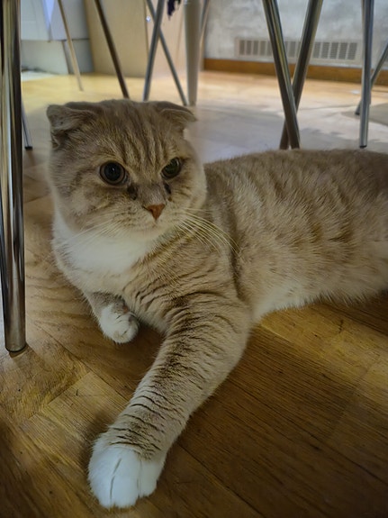 Product image 1 of 5