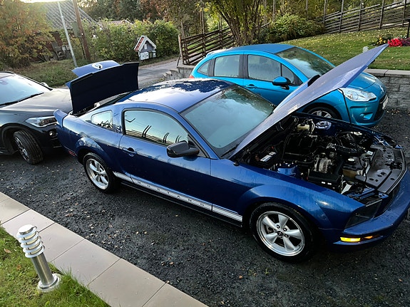 Ford Mustang 2 of 7