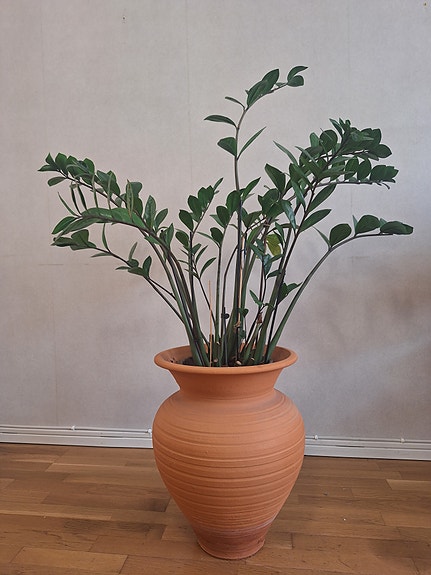 Product image 1 of 7