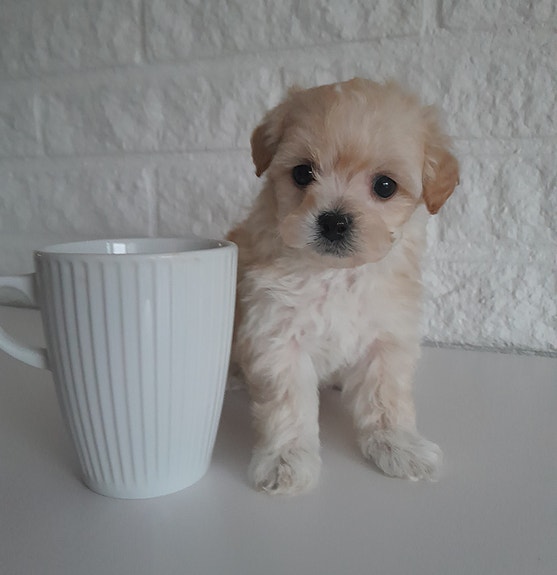 Product image 1 of 10