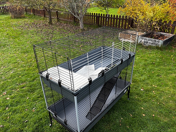 Product image 1 of 10