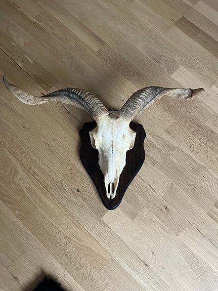 Product image 1 of 6