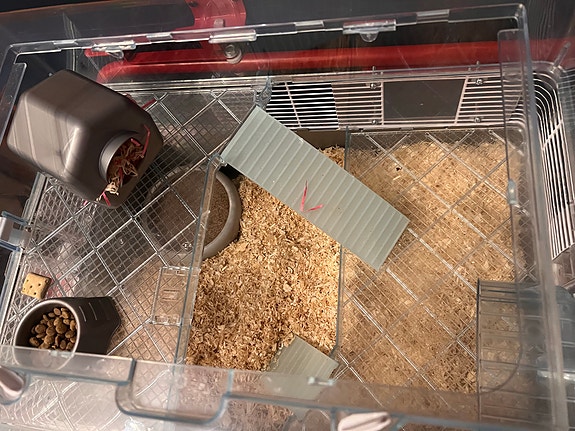 Product image 1 of 6