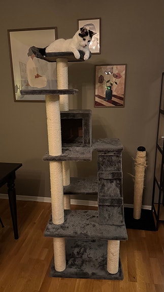 Product image 1 of 3