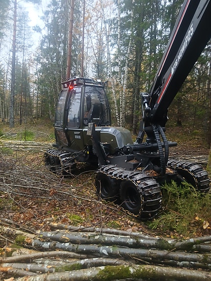 Alstor 850H Keto 5 of 12