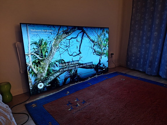 Product image 1 of 7