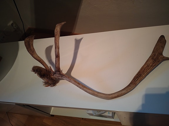 Product image 1 of 2