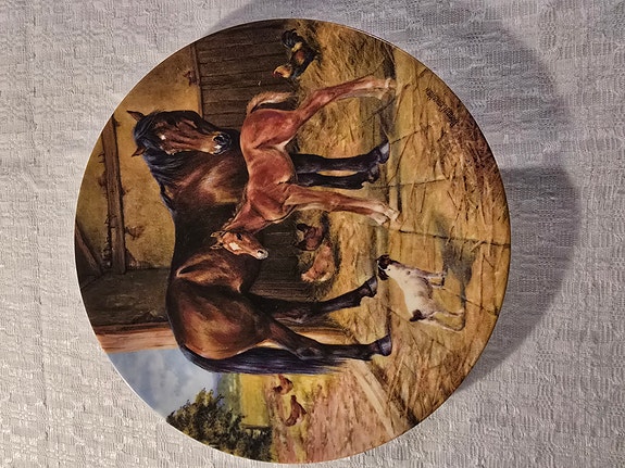 Product image 1 of 9
