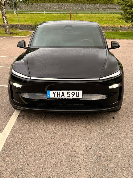 Tesla Unknown