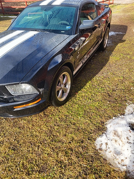 Ford Mustang 4 of 11
