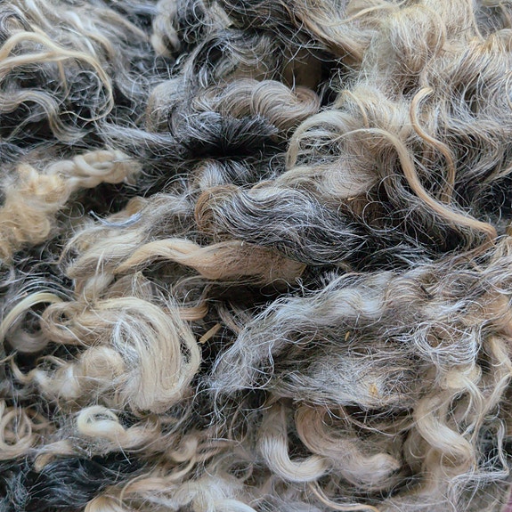 Product image 1 of 7