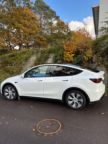Tesla Unknown