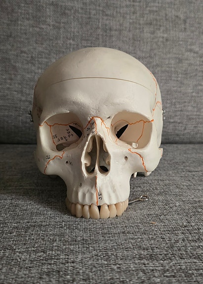 Product image 1 of 10