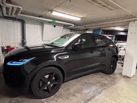 Jaguar Unknown