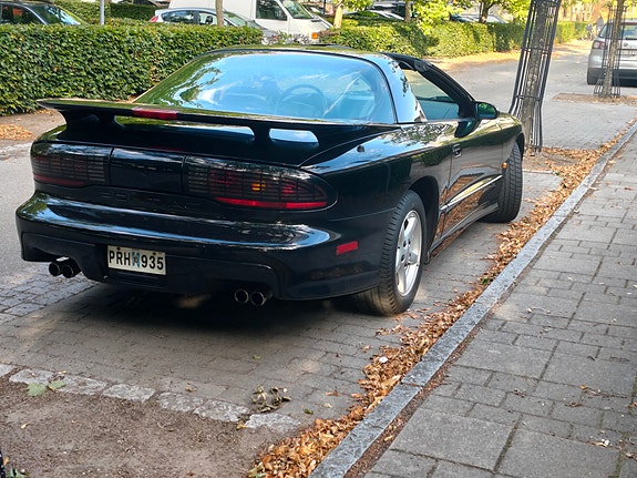 Pontiac Trans Am 14 of 14