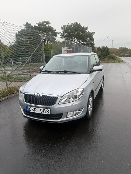 Skoda Unknown