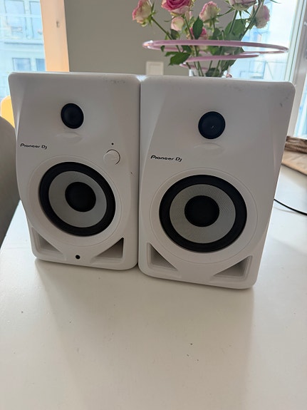 Pioneer vita högtalare stereo