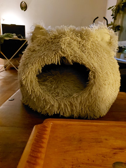 Mjuk kattkoja med öron, grå