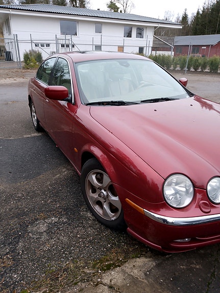Jaguar Unknown