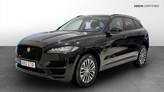 Jaguar Unknown