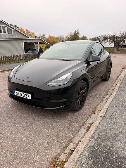 Tesla Unknown