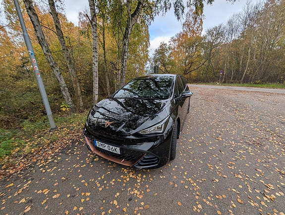 Cupra Unknown