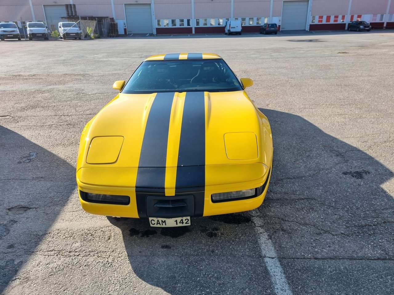Chevrolet Corvette 1992, bild 3/10