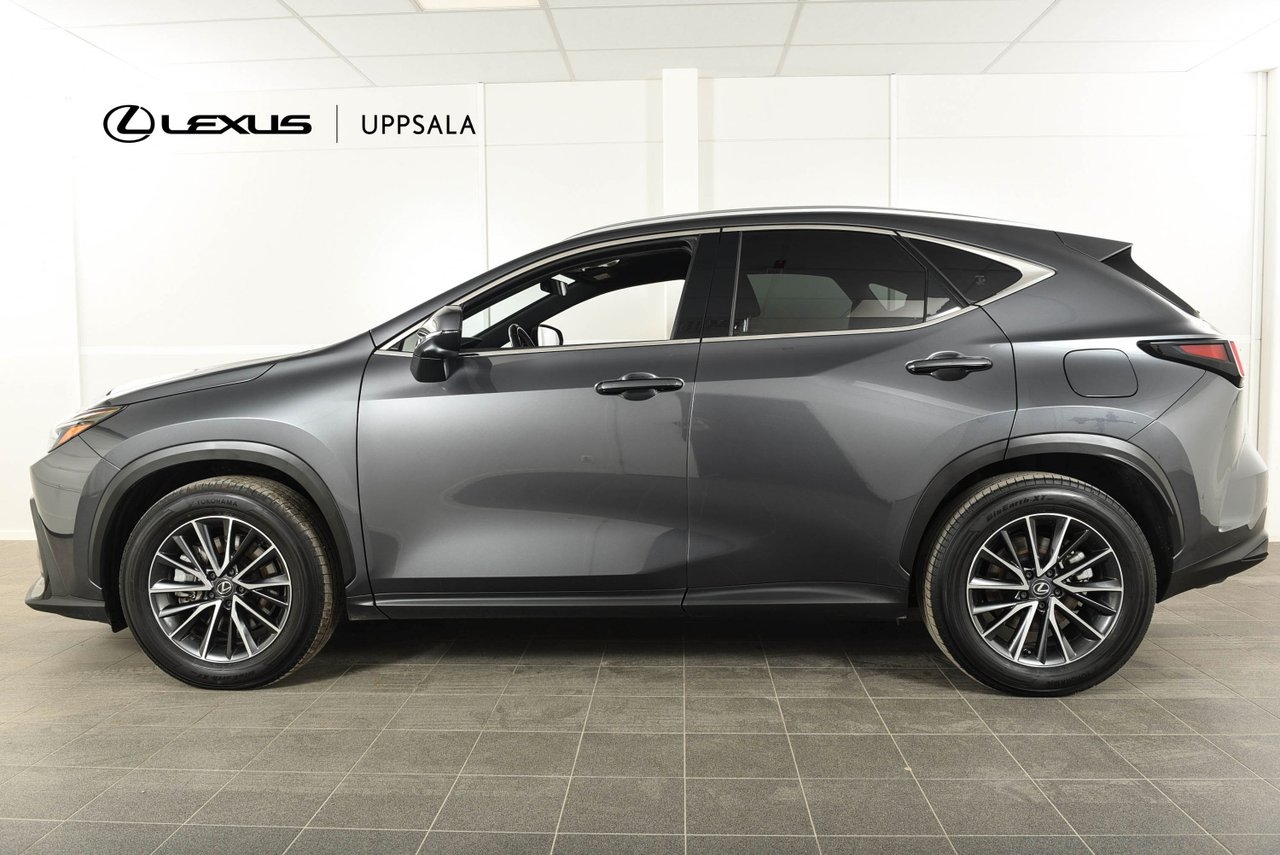 Lexus NX 2024, bild 2/10