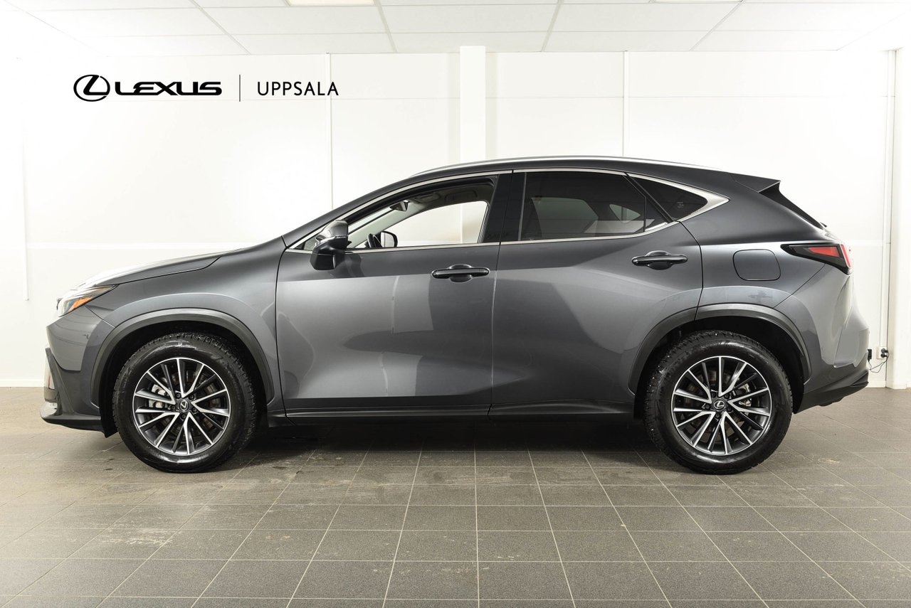 Lexus NX 450h+ Business Plus Plug-In 2023, kuva 2/10