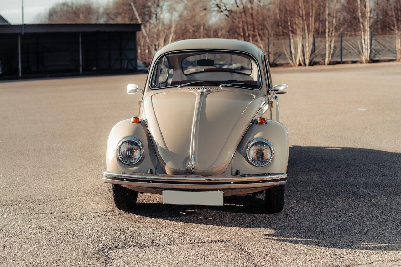 Volkswagen 1500 1.5 H4 AUTOMATIC 1968, photo 6/10