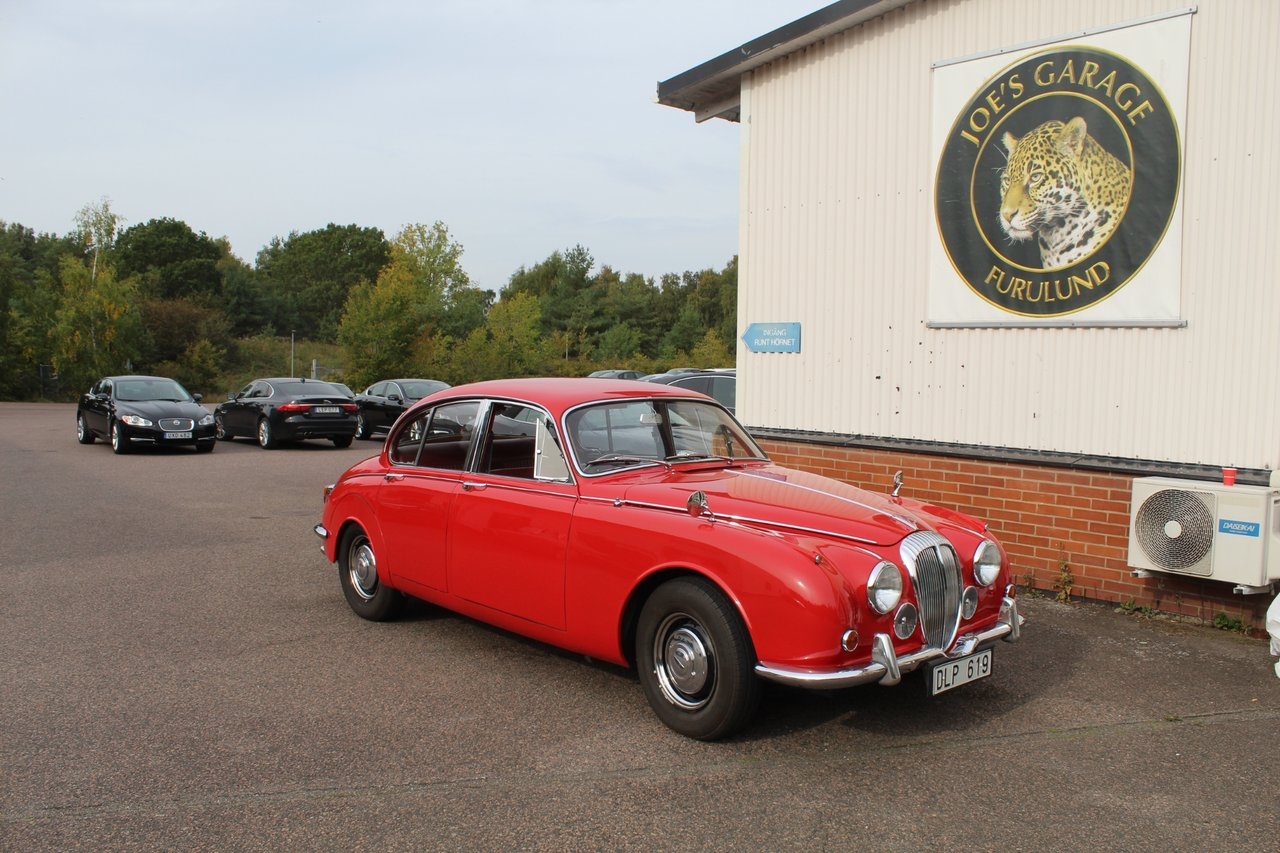 Jaguar Mark