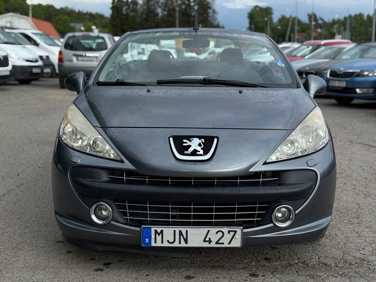 Peugeot 207 2007, bild 7/25