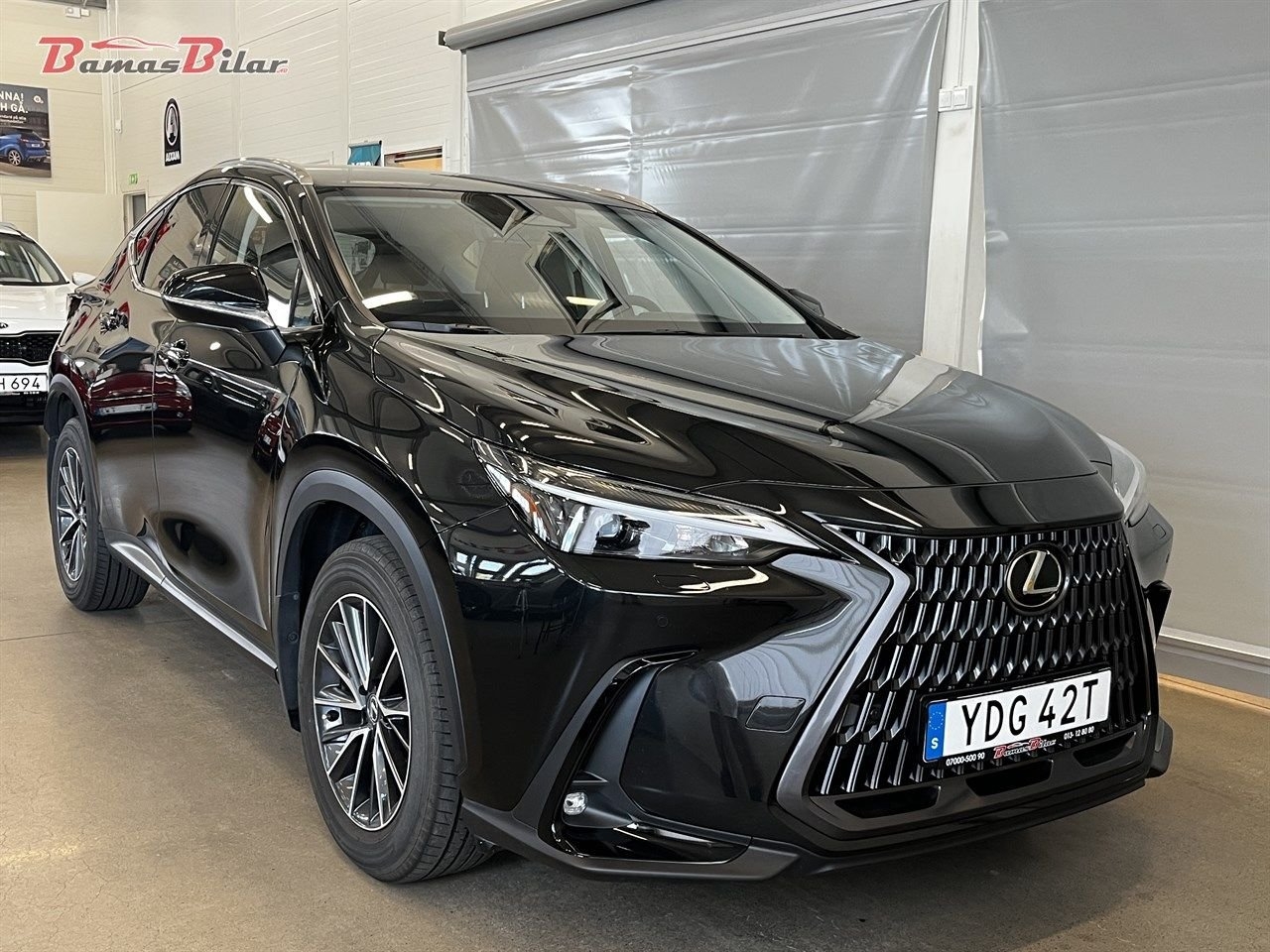 Lexus NX 2023, bild 7/25