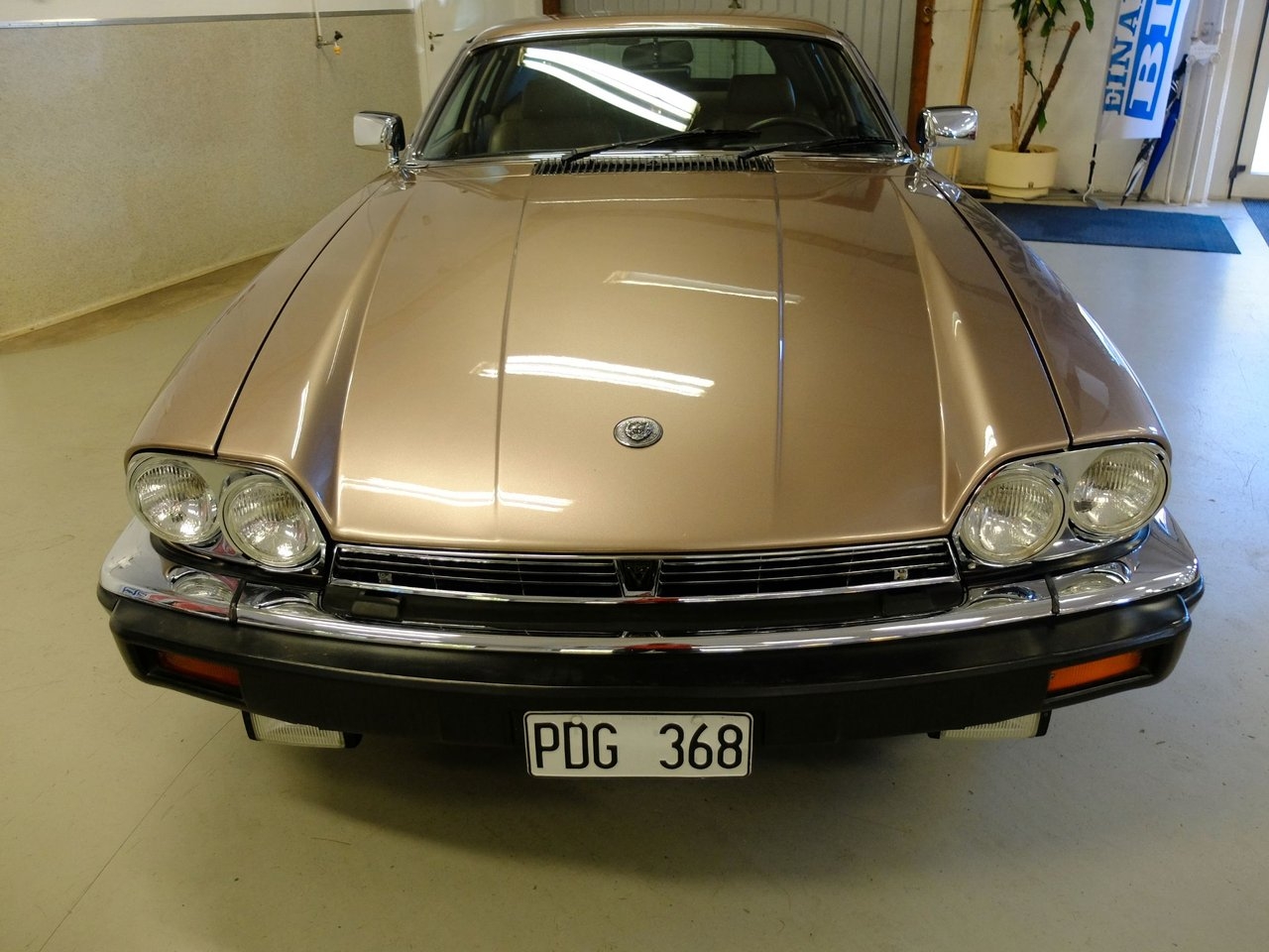 Jaguar XJS 1986, bild 2/10