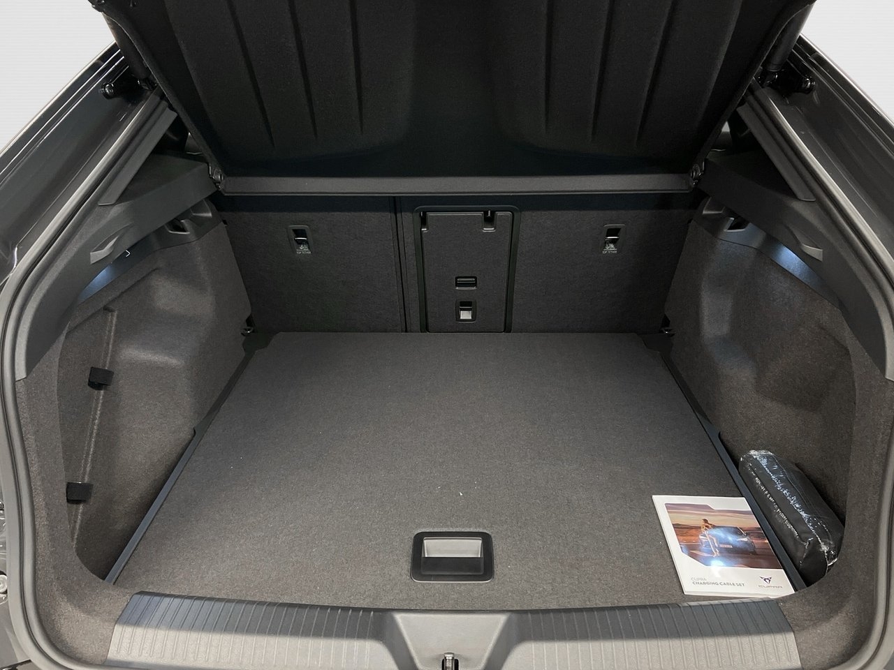 Cupra Tavascan 2025, bild 7/8
