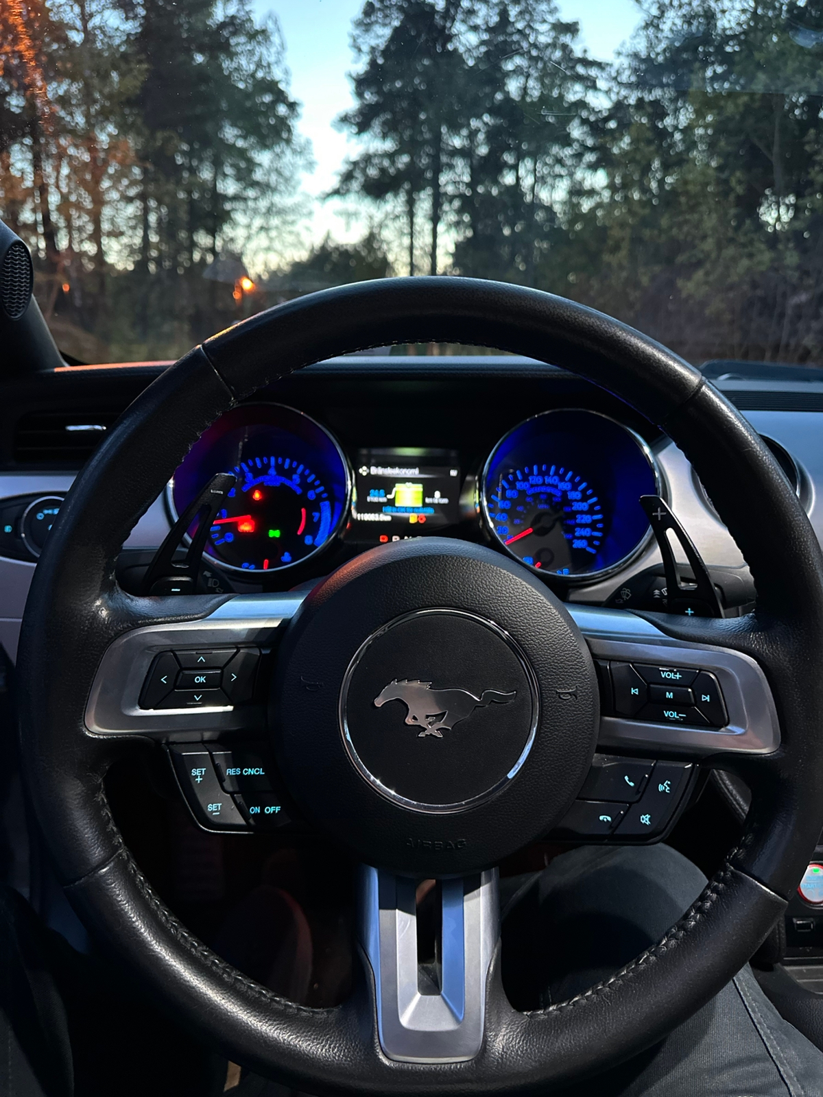 Ford Mustang 2015, bild 8/8