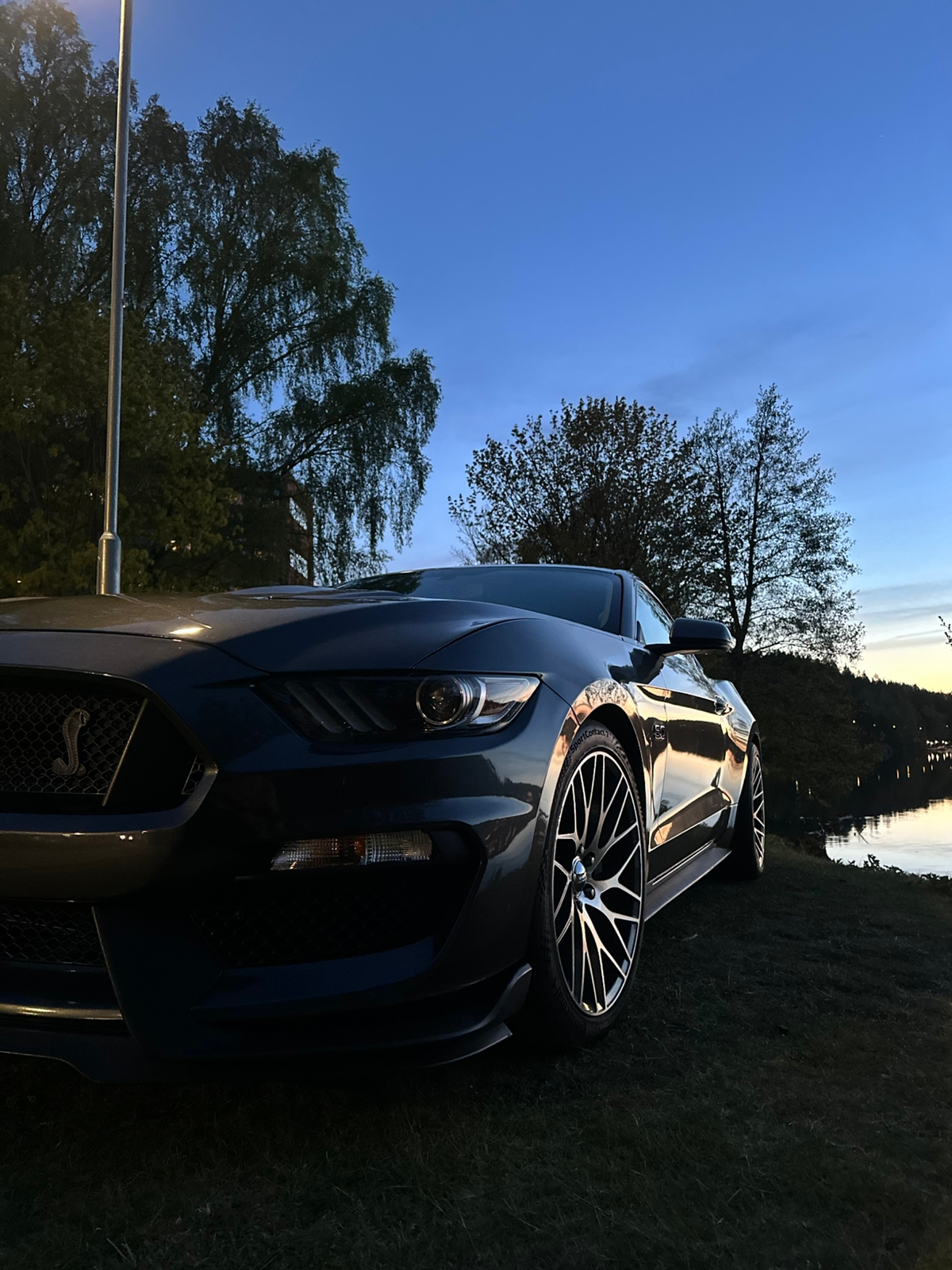 Ford Mustang 2015, bild 6/8